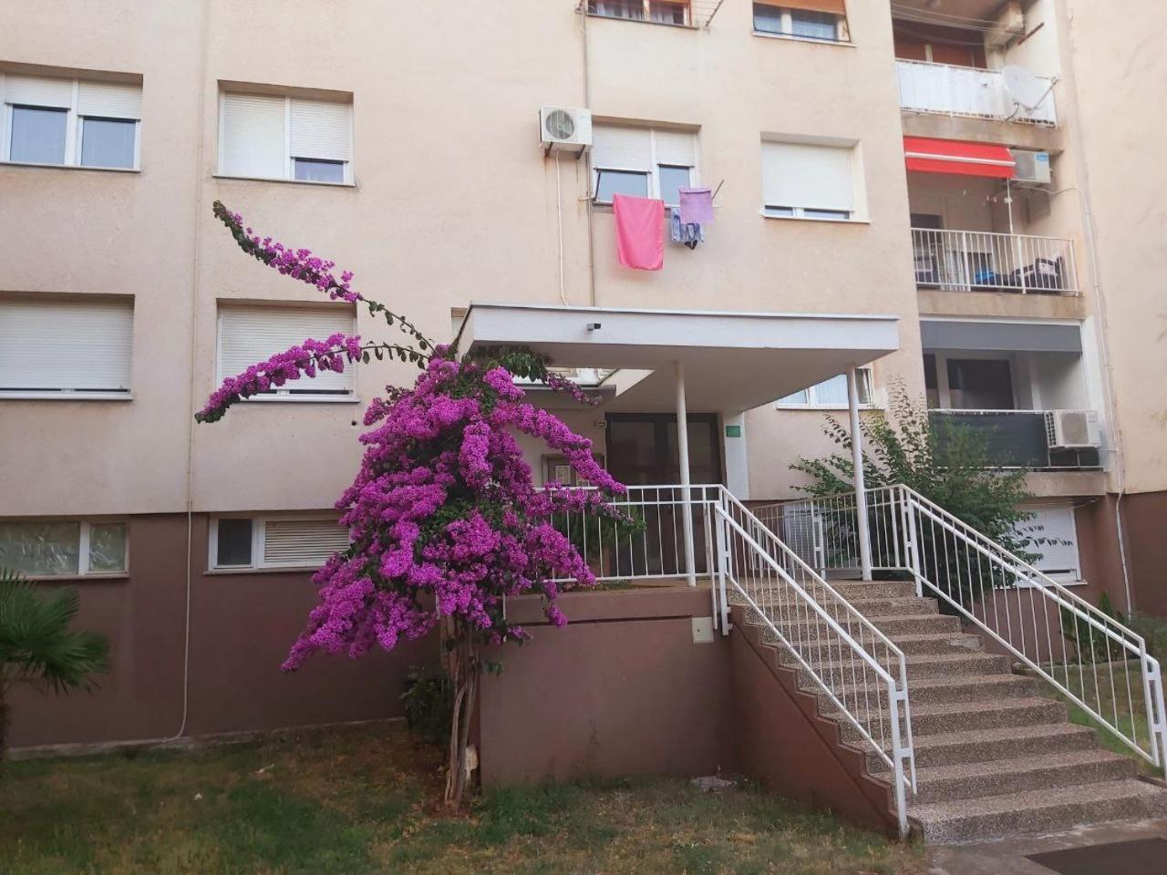 Popovic Apartment Pula Bagian luar foto